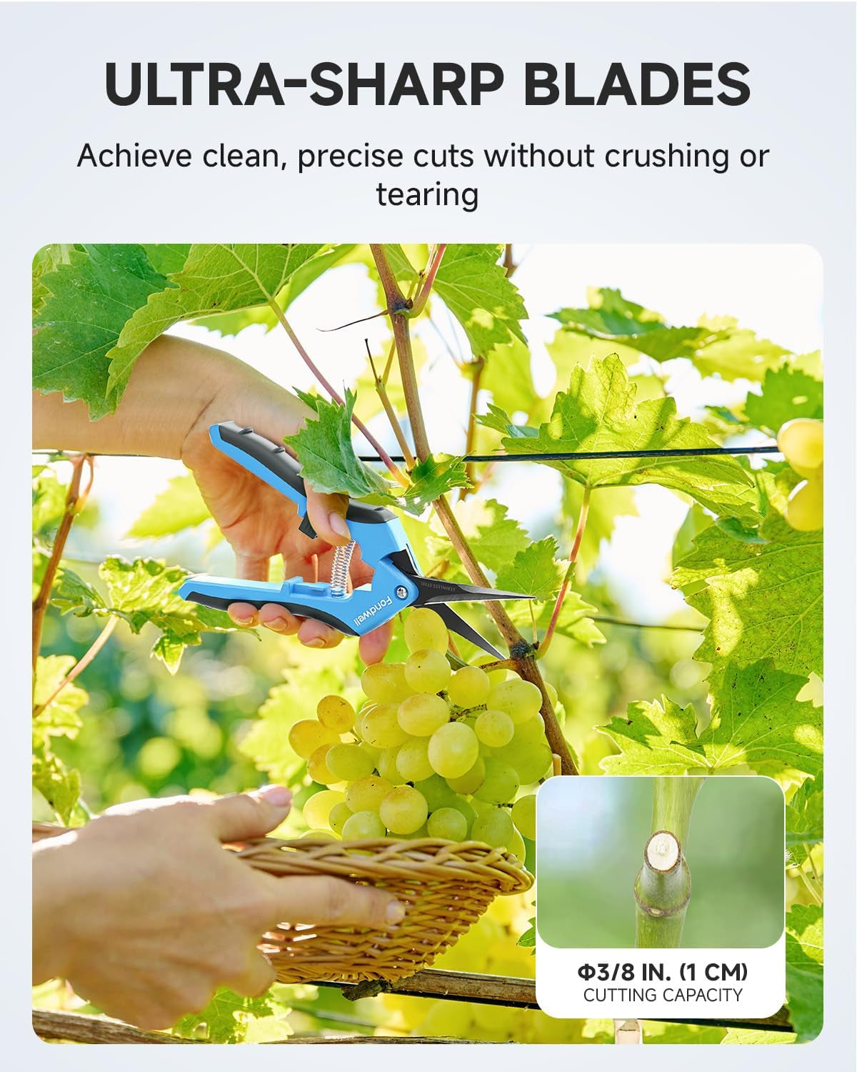 2-Pack 6.5" Small Pruning Scissors for Indoor Plant Garden Clipper | Micro Trim Scissors, Ultra-Sharp Non-Stick Straight Blades, Lightweight - Best for Delicate Cutting Flower Stems Herbs Buds