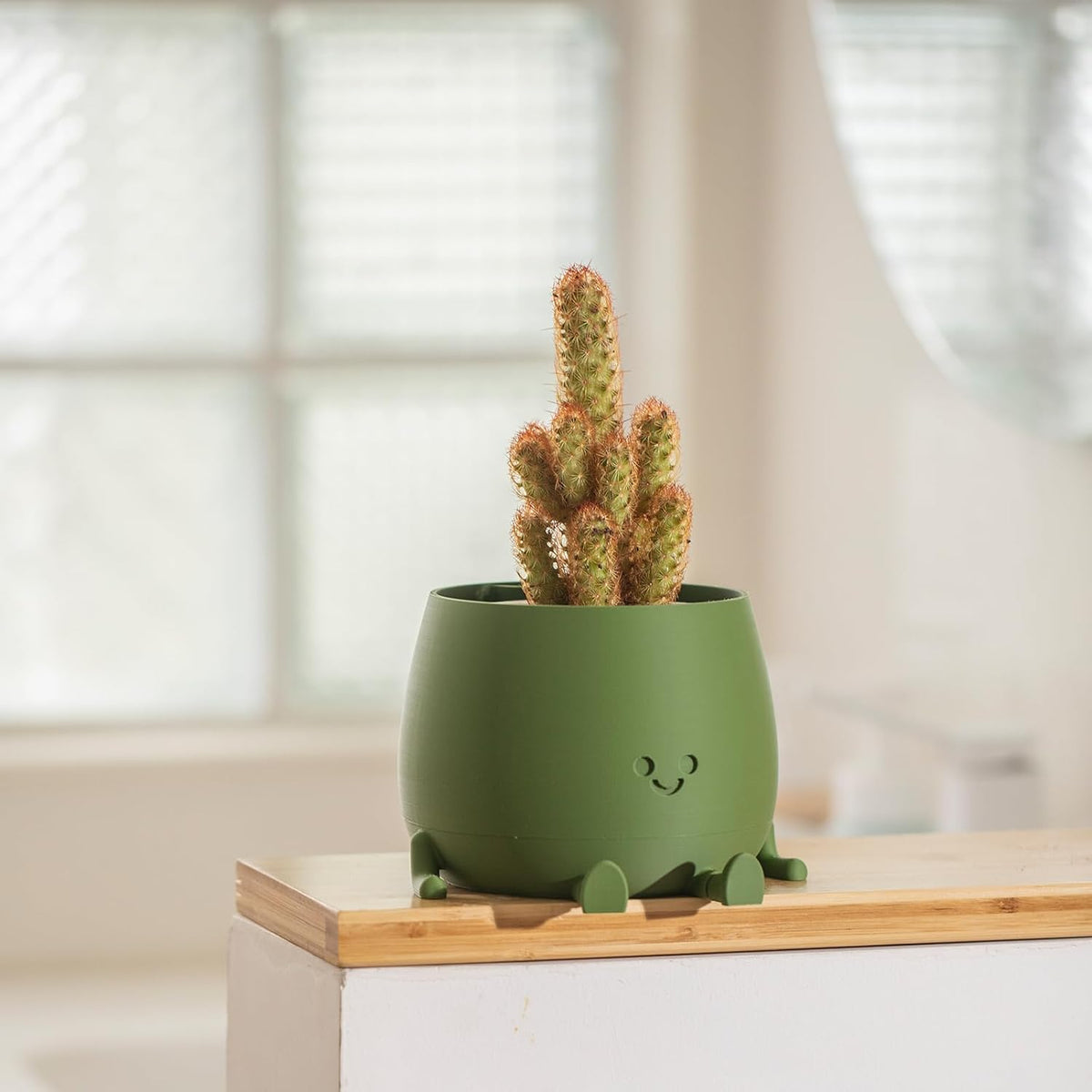 Happy Face Planter, 5.2 Inches Plastic Plant Pot, Self Watering Plant Pot with Drainage Holes for Indoor Outdoor, Succulent Pot, Funny Flower Pot, Dark Green